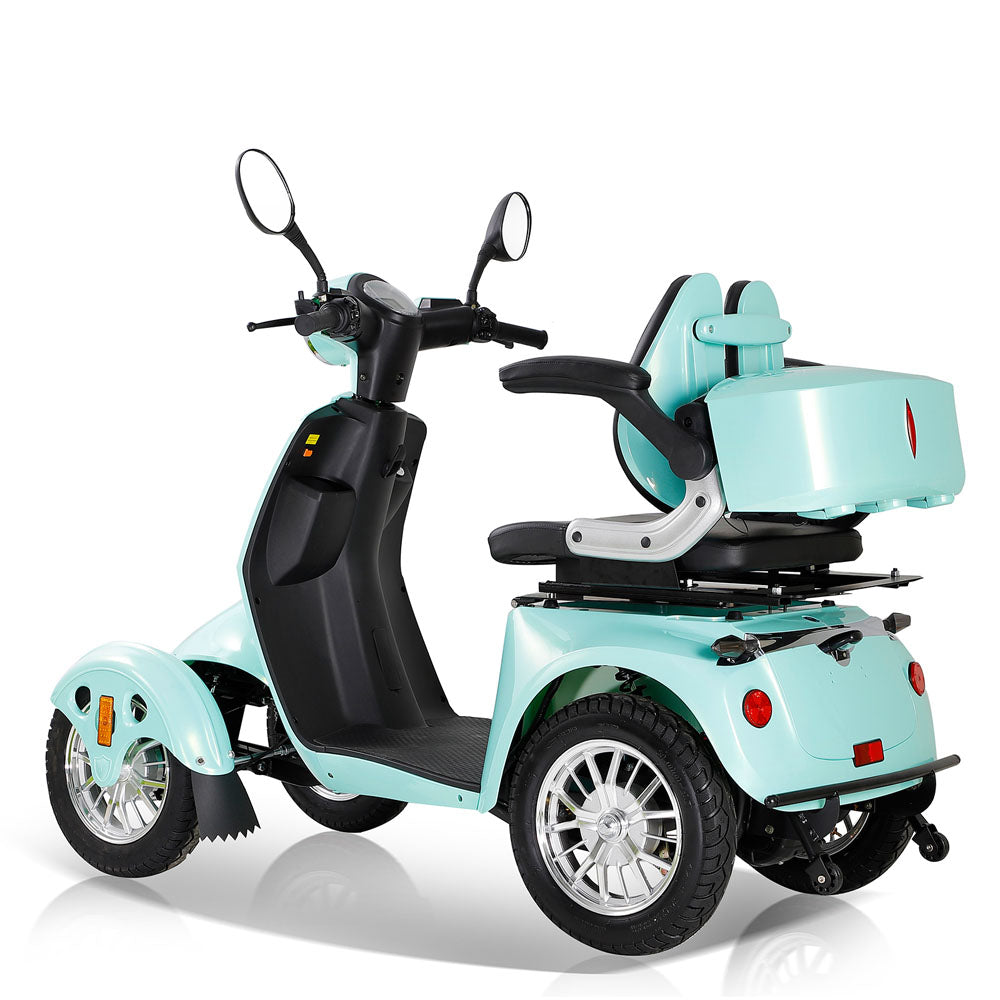 All-Terrain Mobility Scooter with 800W Motor