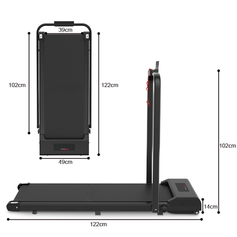 2-in-1 Folding Treadmill